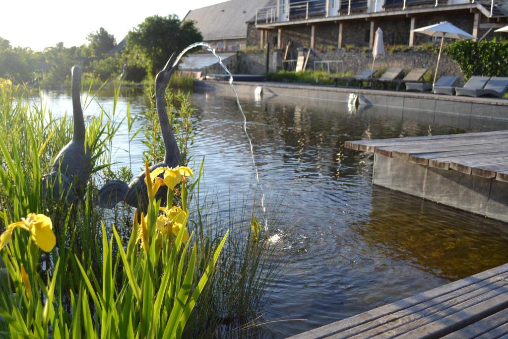 piscine ecologique